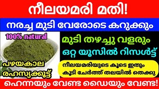 ഇനി ഡൈ വേണ്ട ഇത് മാത്രം മതി എത്ര നരച്ച തലമുടിയും കരിക്കട്ട കറുപ്പാകും | Aloevera Hair Dye | DIY Tips