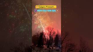 New Year Fireworks 2025🎇 Calgary, Alberta🇨🇦 | Princess Island Park #calgary #fireworks #ytshorts