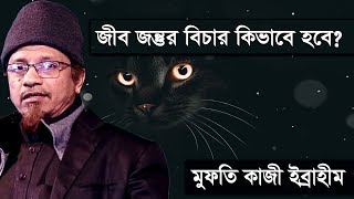 হাশরের মাঠে জীব জন্তুর বিচার কিভাবে হবে জেনে নিন মুফতি কাজী ইব্রাহীম