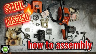 STIHL MS 250 assembly / stihl ms250 toplantı #stihlchainsaw