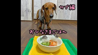 おひなさまごはん　サブたべる編