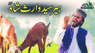 Heer/Heer Waris Shah/Bilal Haider/Punjabi Kalam Waris Shah 2022/Bilal Haider  Kalam/Punjabi Culture