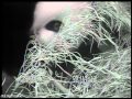 Glimpse of the Smithsonian's National Zoo's Panda Cub