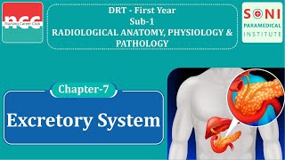 DRT - 1.1.7 - Excretory system