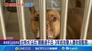 比特犬\