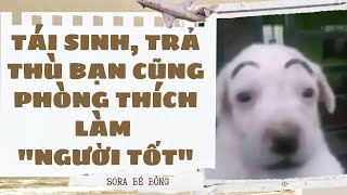 [Truyện Audio ] [FULL] TÁI SINH, TRẢ THÙ BẠN CŨNG PHÒNG THÍCH LÀM \