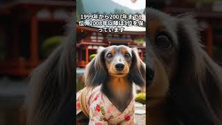 ダックスフントの歴史〜短足犬のお仕事〜