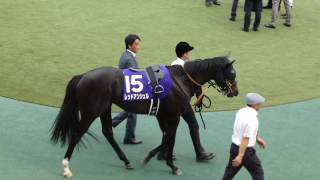 レッドアンシェル　in　 東京競馬場　at 2017.05.07. NHKマイルカップ（ＧⅠ）＃３