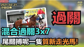 【賽馬貼士】2021-02-21 沙田日賽混合過關 尾關搏質新走光馬!