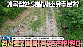 계곡낀 힐링되는 텃밭 농지.  농막도 비닐하우스도 드려요. 몽땅 5천3백만원  330