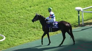 【高松宮記念】ナランフレグ 丸田恭介 人馬ともに初GⅠ制覇 本馬場入場 現地映像