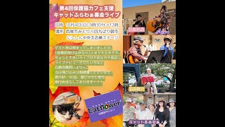 第4回保護猫カフェ支援ボランティアバンド募金ライブ キャットふらわぁ西尾市みどり川四九ばり朝市