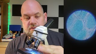 Review for BEBANG Compound Microscope with Microscope Slides 100X 2000X