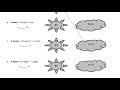 lesson 12 homework module 3 grade 3