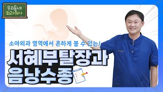 소아외과에서 흔히 볼 수 있는 📢서혜부 탈장과 음낭수종