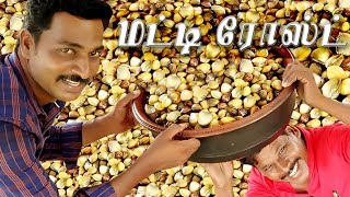 3000 Clams Catching & Cooking | Matti Roast | சிப்பி ரோஸ்ட் | Health benefits | Mams masala