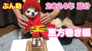 【ぷん助】2024年節分 恵方巻き編（ぷん助の食べ方にビックリでした・・・）