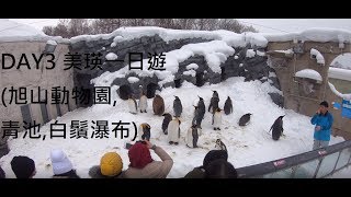 [ 全4K ] 2018 北海道二人自由行DAY3 美瑛一日遊 旭山動物園,青池,白鬚瀑布!