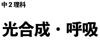 【BTB液の色の変化は!?】光合成・呼吸、蒸散〔現役塾講師解説、中学2年理科〕