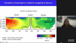 Le cycle du carbone dans l'océan (4) - Edouard Bard (2020-2021)