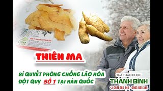 Thiên Ma - Địa chỉ bán thiên ma Thanh Bình tại TPHCM chất lượng và giá tốt nhất