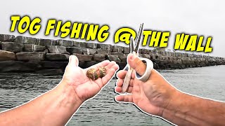 Tautog Fishing in Delaware