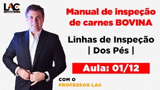 Aula 01: Manual de Inspeção - Linhas de Inspeção | Dos Pés | Luiz Antônio de Carvalho