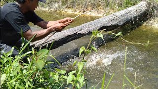 NAJUR DI PARIT YANG BELUM TER JAMAH HASIL NYA LUARBIASA MAS BROO..!!