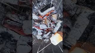 所詮ワタシがやるBBQなんてこの程度よ#shorts