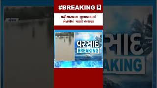 Monsoon In Gujarat | Mahisagar ના લુણાવાડામાં ખેતરોમાં પાણી ભરાયા | Heavy Rain | Rain Forecast