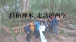 鎮西堡二日遊｜巨檜神木林｜Cinsbu巨木群.清晨熟睡陽光朗照大地.作物生長良好的土地｜尖石鄉還能這樣玩