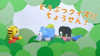 【知育】しまじろう・ぽっぽんと動物クイズで遊ぼう！２・３歳向け〈こどもちゃれんじぽけっと〉4月号体験版【しまじろうチャンネル公式】