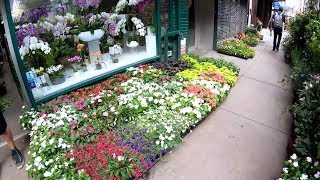 ⁴ᴷ⁶⁰ Walking NYC : Manhattan's Flower District to the Flatiron Building