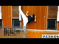 taekwondo テコンドー壁蹴り「トルリョチャギ」（廻し蹴り）