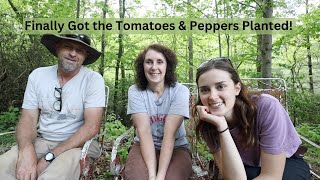 A Murder of Crows! & Tomatoes and Peppers Are Finally in the Ground!