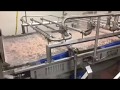 Innotec Systems - Shrimp Glazing Belt