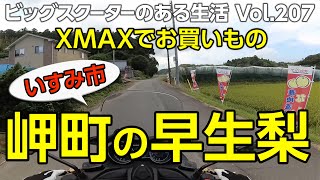 【モトブログ】XMAXでお買いもの いすみ市岬町の早生梨