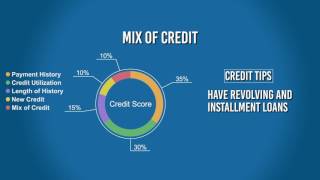 Understand the Credit Score Algorithm: Mix of Credit