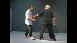 Complete Yang Style Tai Chi Long Form Applications - Step by Step - Part 2