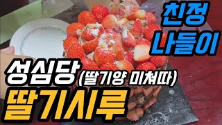 [일상]성심당 1시간 기다려서 딸기시루 샀어요