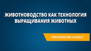 Животноводство как технология выращивания животных