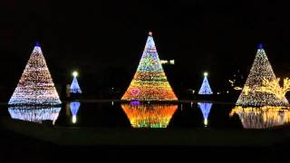 イルミネーション2015 水島中央公園 試験点灯 岡山県倉敷市 20151218 Christmas tree illumination 燈飾 灯饰 일루미네이션