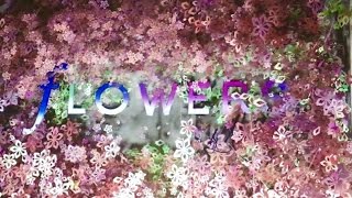 FLOWERS by NAKED 2017 @日本橋三井ホール COREDO室町 -Digital(3D/2D) \u0026 Real Flowers Event-