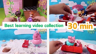 Unboxing Paw Patrol |Best Learning Video - Peppa Pig at the beach