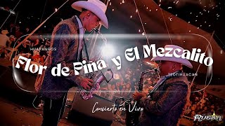Los Rugar  - LA FLOR DE PIÑA - EL MEZCALITO - En vivo en San Juan Teotihuacan