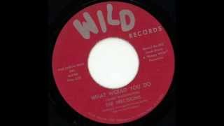 The Precisions - What would I do - Wild