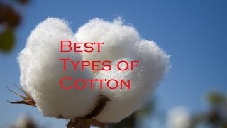 Worst and Best Types of Cotton