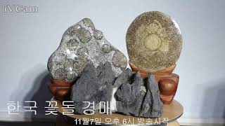 한국 꽃돌 경매/11월7일 오후6시 방송