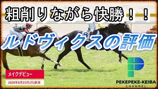 【粗削りながら快勝！！】モーリス産駒　ルドヴィクスの評価　POG2020-2021　クラシックホースを探せ【元騎手候補生ペケペケの競馬チャンネル】