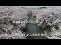 【福井県】吉野瀬川ダム「満開の桜と工事進捗状況」r3.4